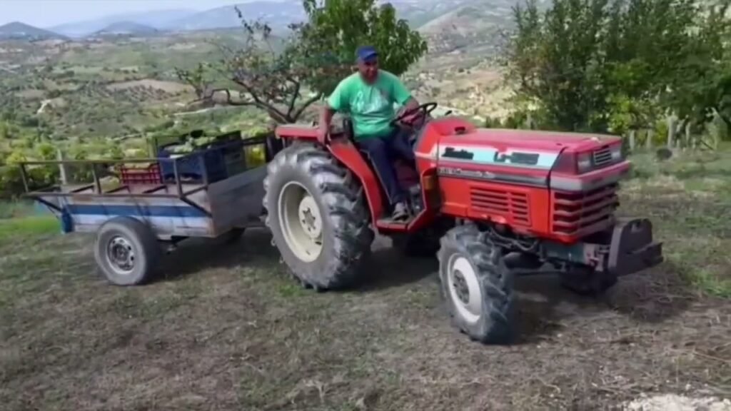 Kronikë: Prodhim i begatë i vreshtarisë në të gjithë qarkun e Fierit Kronikë: Prodhim i begatë i vreshtarisë në të gjithë qarkun e Fierit