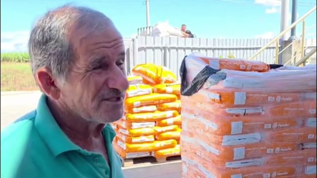 Thatësira e zgjatur ka çuar në ulje të rendimentit të misrit i cili u mboll në masë këtë sezon në Myzeqe