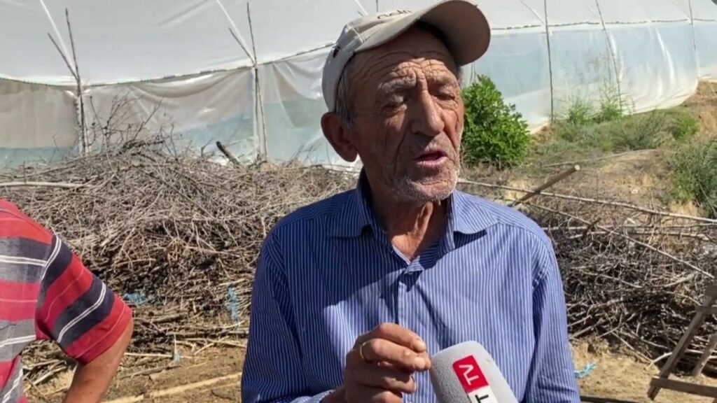 Ujku bën kërdinë në fshatin Karbunarë e sipërme, vetëm 5 km larg qendrës së Lushnjes