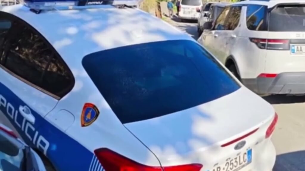 Kronikë: Detaje të reja nga vrasja e 69 vjeçarit nga djali i tij