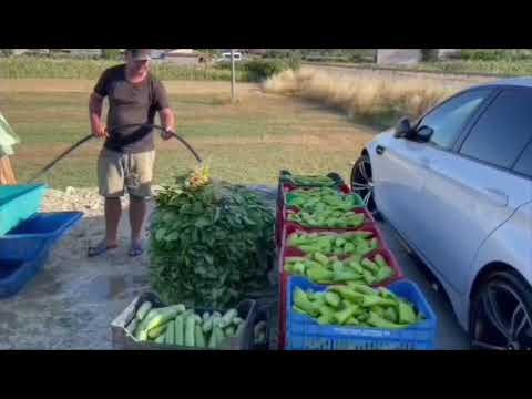 Fermerët në pritje të lëvrimit të lekëve për mbështetjen në bujqësi
