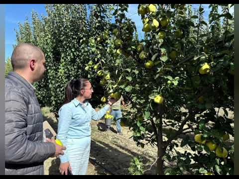 Fermeri i Koçajt frymëzon Lushnjen drejt zhvillimit rural Fermeri i Koçajt frymëzon Lushnjen drejt zhvillimit rural