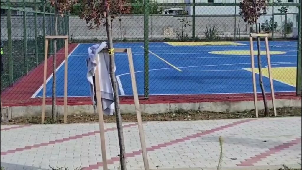 Kronikë: Hapësirat e gjelbra janë mushkëritë e qytetit të Roskovecit Kronikë: Hapësirat e gjelbra janë mushkëritë e qytetit të Roskovecit