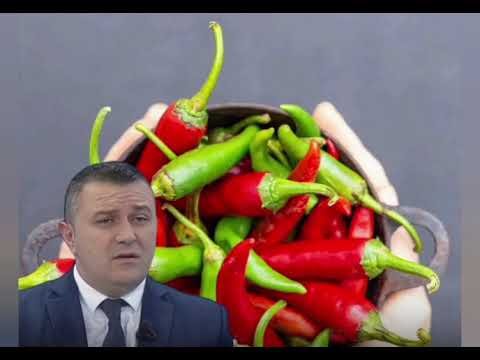 Skandal me specat nga Divjaka, Kroacia bllokon 8 ton për pesticide të ndaluara, AKU hesht!