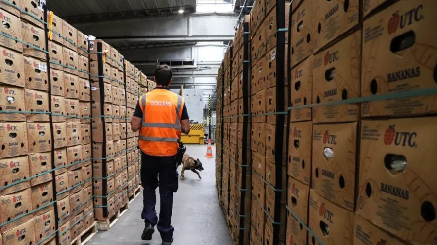 Rrjeti i drogës me degë ndërkombëtare në Belgjikë zbulohet, goditet banda multinacionale