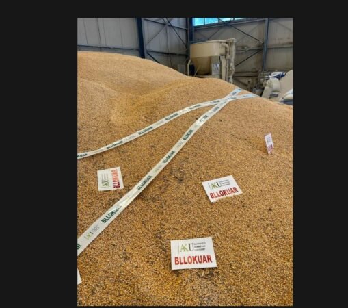 Bllokimi i misrit me aflatoksinë në Shkodër