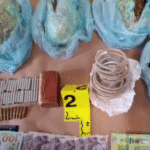 Arrestohet një 29 vjeçar që transportonte drogë eksploziv dhe municion drejt Tropojës me synim trafikimin në Kosovë