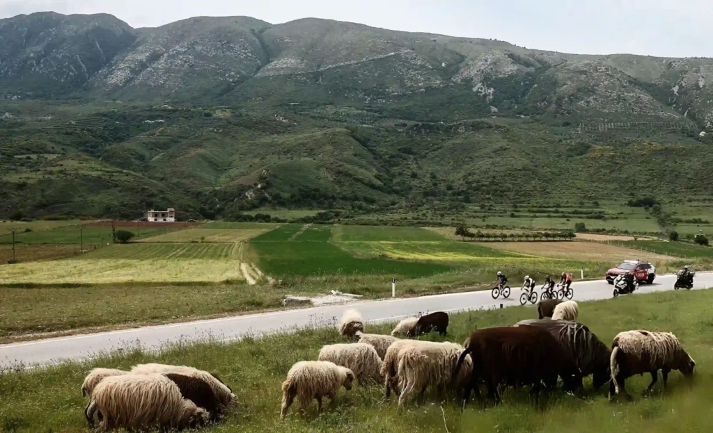 Financat bujqësore dhe premtimet e qeverisë