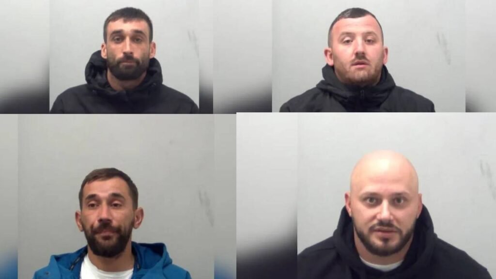 Dënimet për laboratorin e kanabisit në Essex