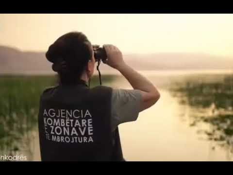 Liqeni i Shkodrës drejt UNESCO-s Liqeni i Shkodrës drejt UNESCO-s