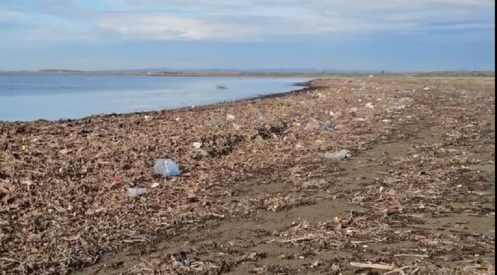 Bregu i Divjakës mbulohet nga mbeturinat pas reshjeve të fundit pamje shqetësuese për mjedisin dhe turizmin