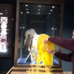 Kater persona arrestohen pasi hodhen embelsire mbi vitrinen e Kurorës Mbretërore në Kullen e Londres