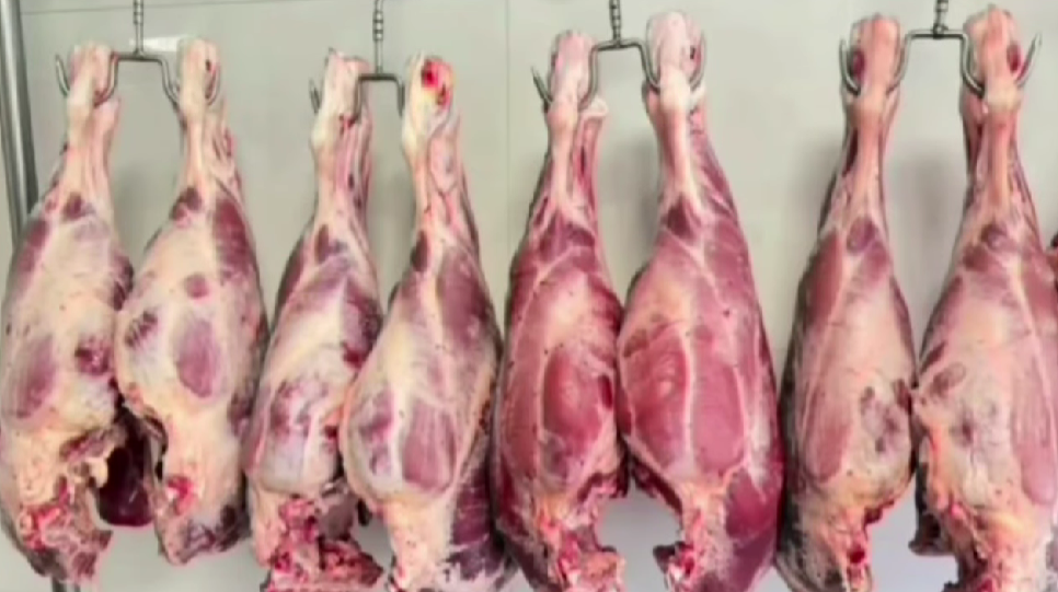 Tregu i mishit në Shqipëri dominohet nga produktet e importit !