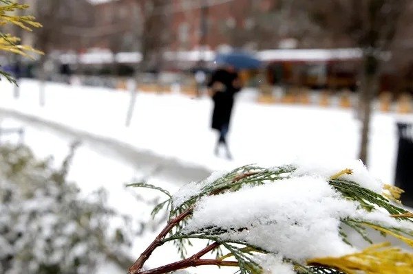 Reshjet e dëborës vështirësojnë qarkullimin në juglindje, kujdes i shtuar për drejtuesit e mjeteve