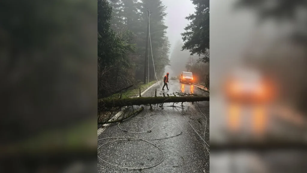 Mot i ashpër në jug, era rrëzon pemët dhe izolon përkohësisht Llogaranë
