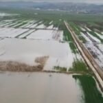 Përmbytjet nga Semani mbajnë nën ujë qindra hektarë tokë bujqësore në Lushnjë dhe shkatërrojnë të mbjellat
