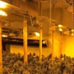 Një tjetër apartament i kthyer në ambient për kultivim droge zbulohet në Sarandë