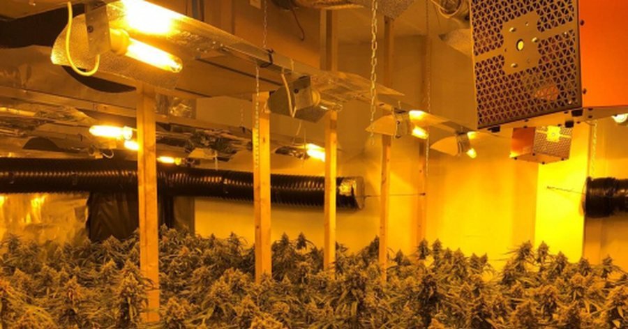 Një tjetër apartament i kthyer në ambient për kultivim droge zbulohet në Sarandë