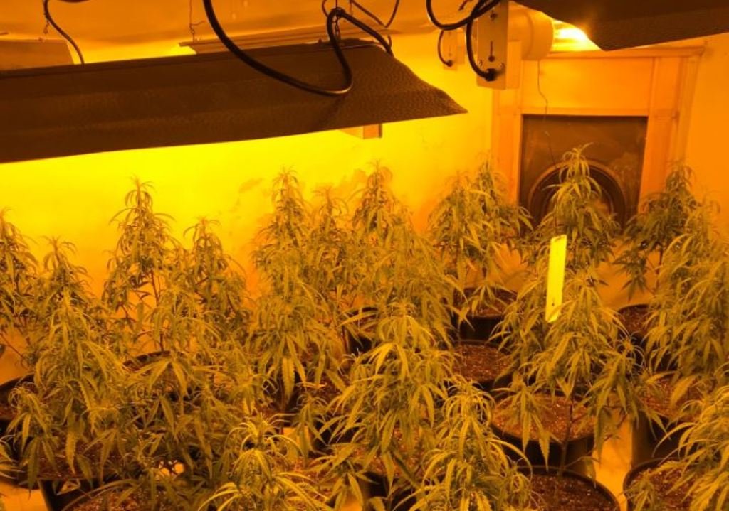 Dy “shtëpi bari” në Vau të Dejës, 31-vjeçari në pranga dhe tre punonjës të OSHEE nën hetim