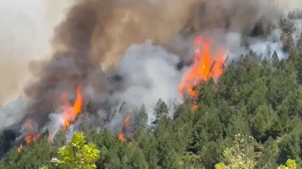 345 milionë lekë dëmshpërblim për zjarret e verës, ja si ndahet fondi për 15 bashki 345 milionë lekë dëmshpërblim për zjarret e verës, ja si ndahet fondi për 15 bashki