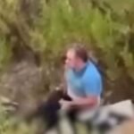 Alarm në ish-fushën e Aviacionit, denoncime për abuzim të përsëritur ndaj kafshëve