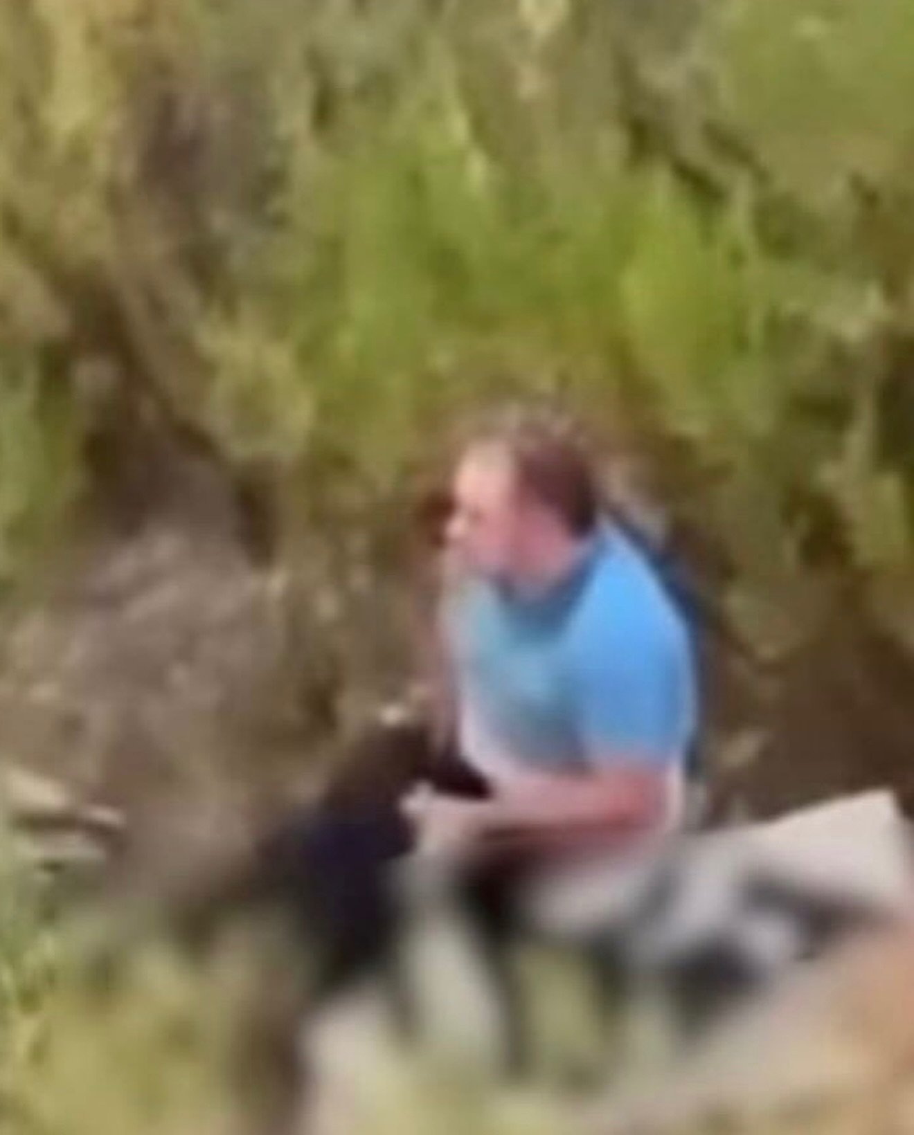 Alarm në ish-fushën e Aviacionit, denoncime për abuzim të përsëritur ndaj kafshëve