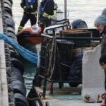 E rëndë në familjen shqiptare në Itali, djali dhunon nënën në ditën e lindjes së tij dhe më pas hidhet në det