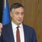 A do të takohet me Sali Berishën? McAllister sqaron axhendën në Tiranë