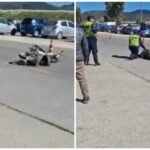 Përplasje mes motomjeti dhe makine në Levan–Ferras, drejtuesi përfundon në spital