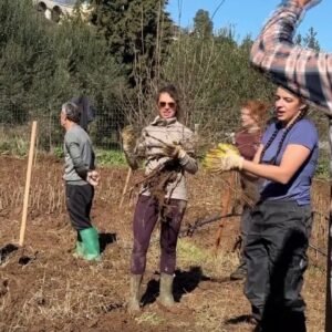 25 të rinj nga bota mbjellin 3000 fidanë në Vjosë për mbrojtjen e lumit të egër