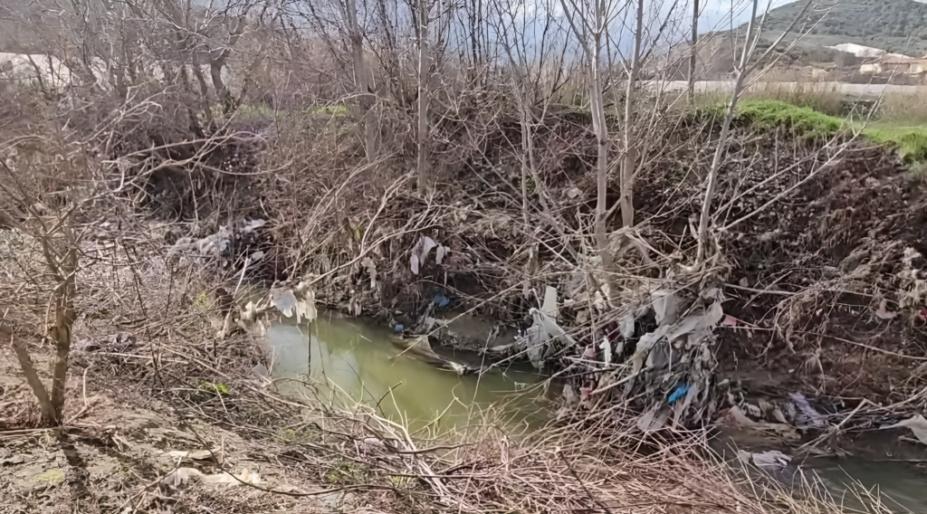 Prroi nuk është kosh plehrash!