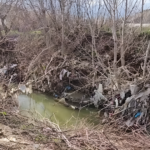 Prroi nuk është kosh plehrash!