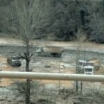 Prokuroria heton bllokimin e aksit Librazhd–Pogradec, rruga mbyllet plotësisht