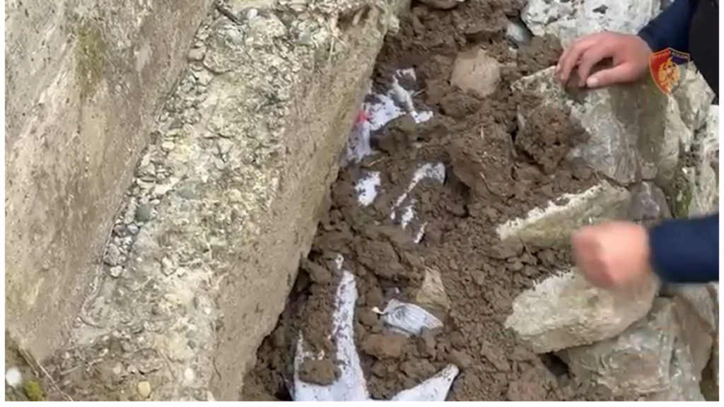 Armë zjarri dhe dhjetëra doza kanabisi, arrestohen tre të rinj në Shkodër Armë zjarri dhe dhjetëra doza kanabisi, arrestohen tre të rinj në Shkodër