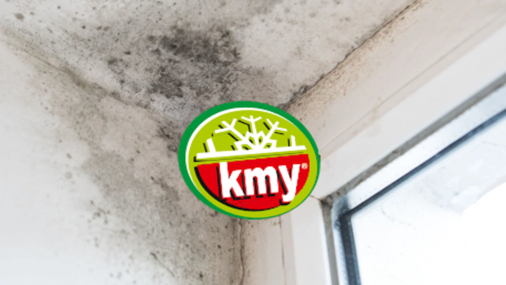 Mish me myk në magazinë, AKU bllokon 738 kg te “KMY” dhe 328.7 kg djathë