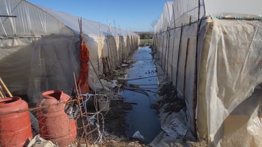 Dy muaj pas përmbytjes, fermerët e Murriz-Kozarës rrezikojnë edhe sezonin e dytë