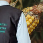 Inspektorët e AKU nuk zbatuan urdhrin për bllokim, 104 ton misër i kontaminuar përfundoi në pulari