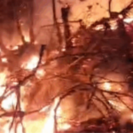 Zjarri përhapet në Somotinë, era vështirëson ndërhyrjen në Pogradec