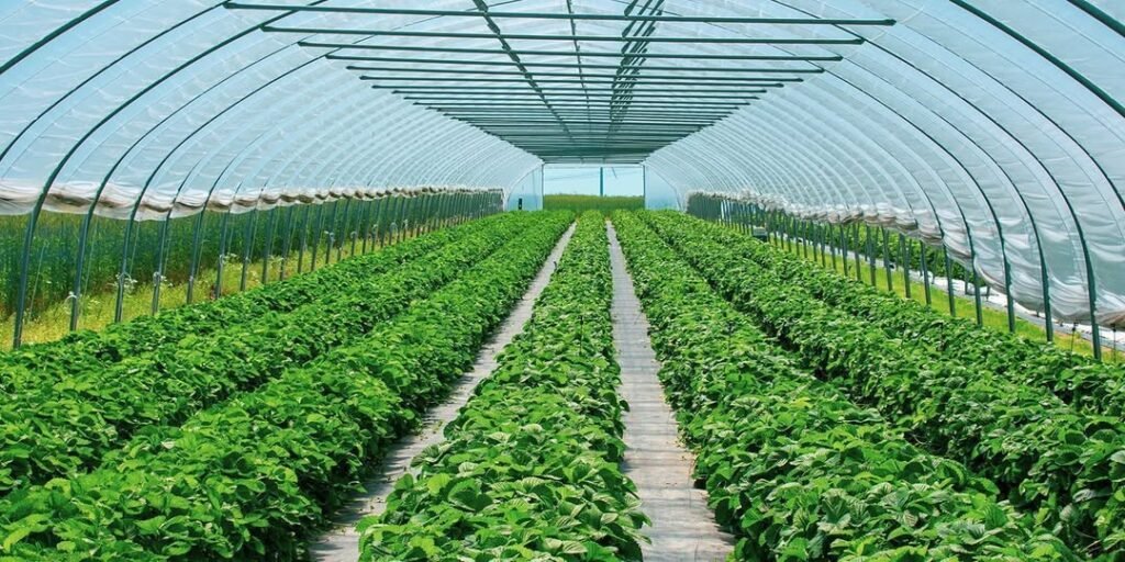 “Duan të më bllokojnë”, grantet e IPARD përfundojnë në gjykatë, beteja për kthimin e fondeve