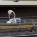 Momente paniku! Burri shtrihet te shinat e metrosë në Bruksel, pasagjerët rrezikojnë jetën për ta shpëtuar!