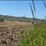 Fermerët nisin mbjelljen e misrit mes kostove të larta!