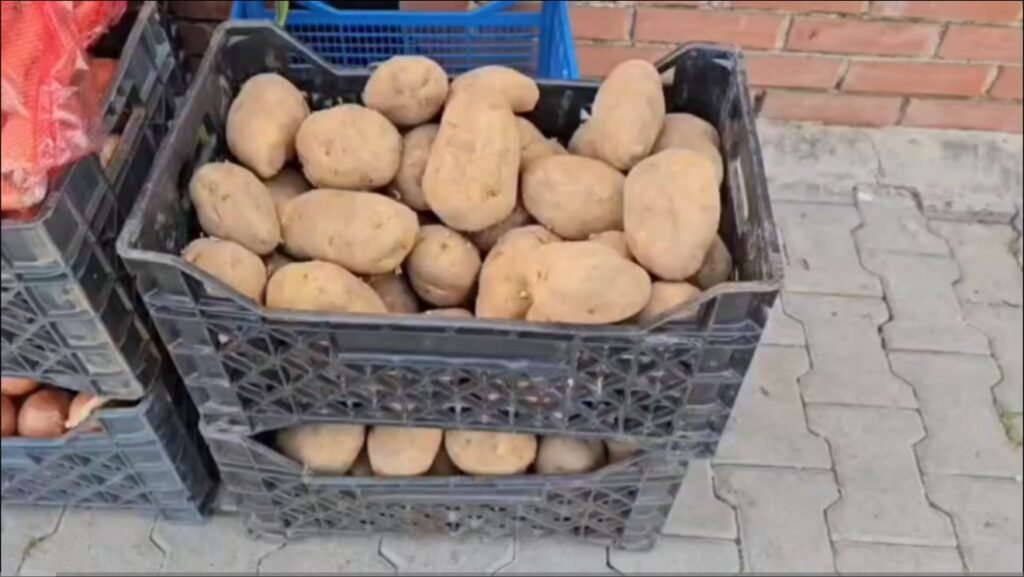 Patatja gjermane “pushton” tregun, çmimet bien me 22%!