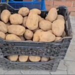 Patatja gjermane “pushton” tregun, çmimet bien me 22%!