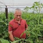 Fermeri Agim Shyti thirrje institucioneve për mbështetje ndaj bujqësisë !