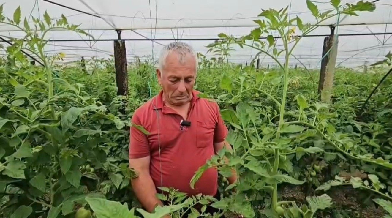 Fermeri Agim Shyti thirrje institucioneve për mbështetje ndaj bujqësisë !