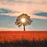 Evropa regjistron marsin e dytë më të ngrohtë në histori.