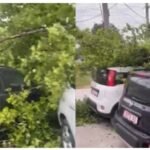 Mot i keq “pushton” Vlorën, era e fortë rrëzon pemën mbi automjetet e parkuara.