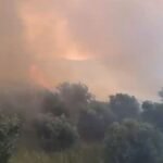 Vatra zjarri në Panaja të Vlorës, flakët avancojnë drejt kodrave, ndërhyrja e vështirë për shkak të terrenit.