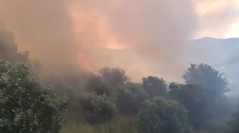 Vatra zjarri në Panaja të Vlorës, flakët avancojnë drejt kodrave, ndërhyrja e vështirë për shkak të terrenit.