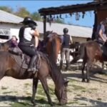Hipizmi dhe turizmi rural, një eksperiencë unike për vizitorët në Gjirokastër !